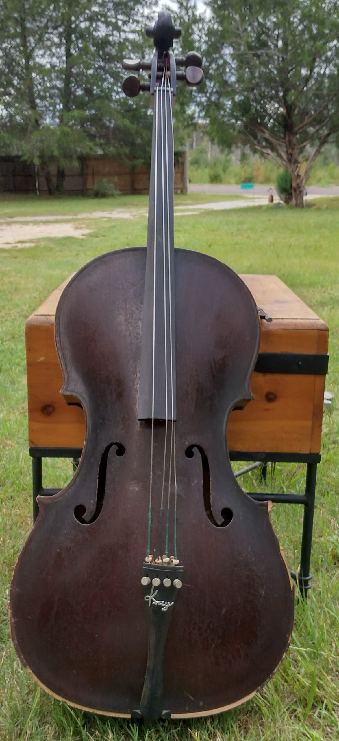 Cello of the Month The Kay Bass and Cello Registry